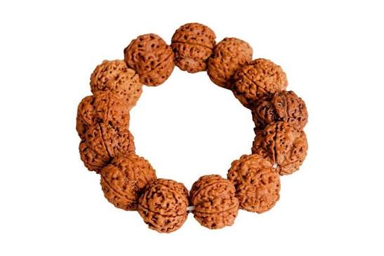 Energized 5 Mukhi Rudraksh Bracelet (Original Nepali Rudraksha Beads)